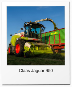 Claas Jaguar 950